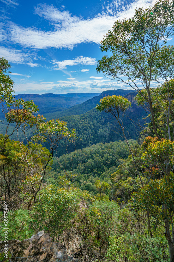 Obraz premium hiking in the blue mountains national park, australia
