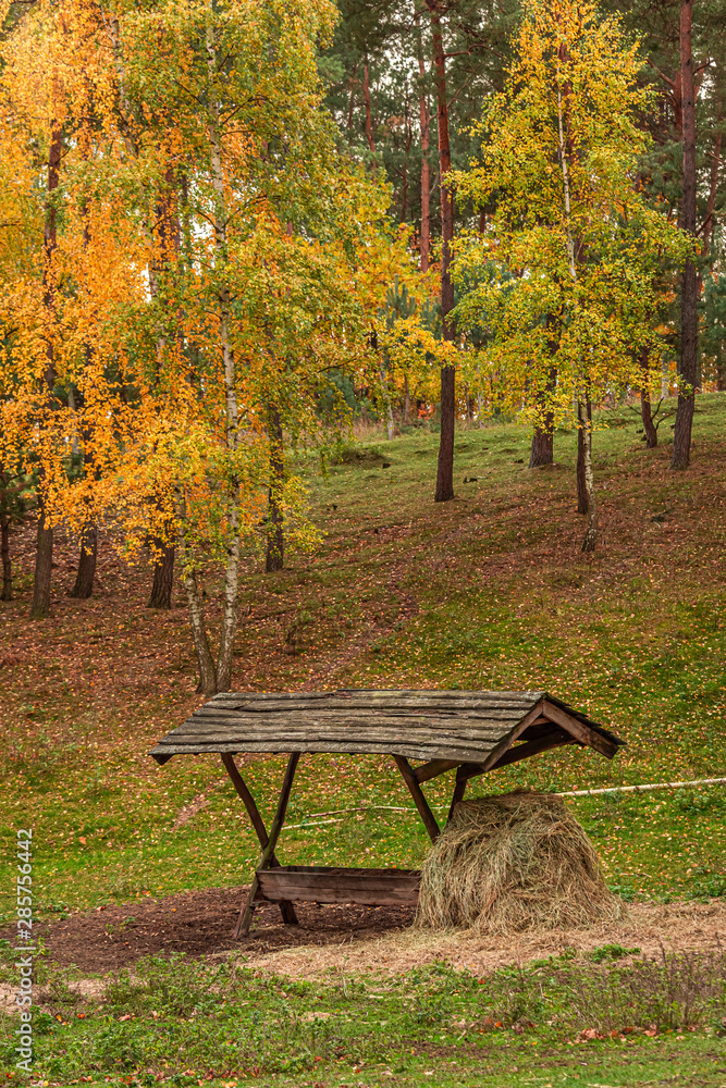 Deer feeder in the autumn full of colored forest