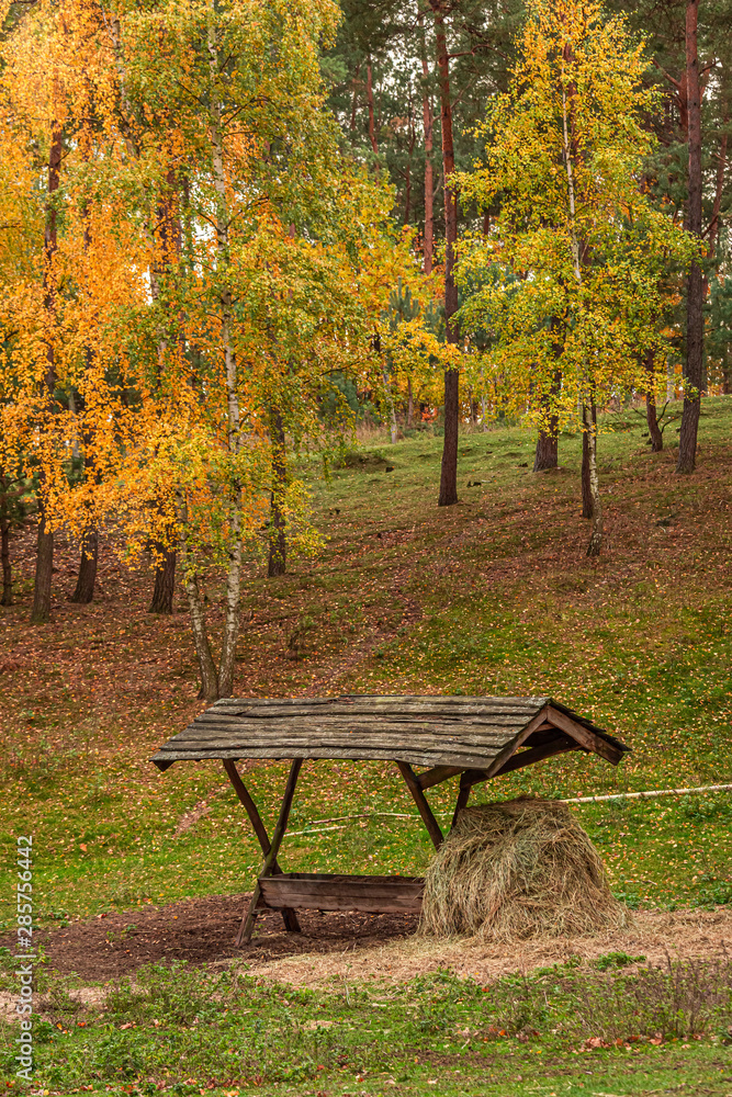 Deer feeder in the autumn full of colored forest Deer feeder in the autumn full of colored forest