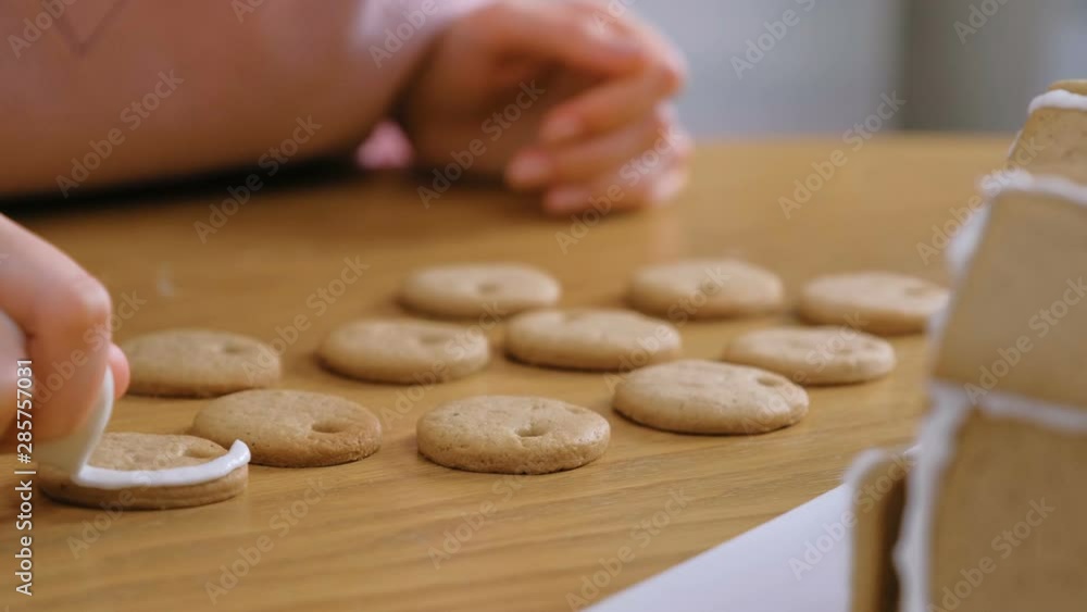 Woman's hands decorate christmas cookies with sugar sweet icing Woman's hands decorate christmas cookies with sugar sweet icing