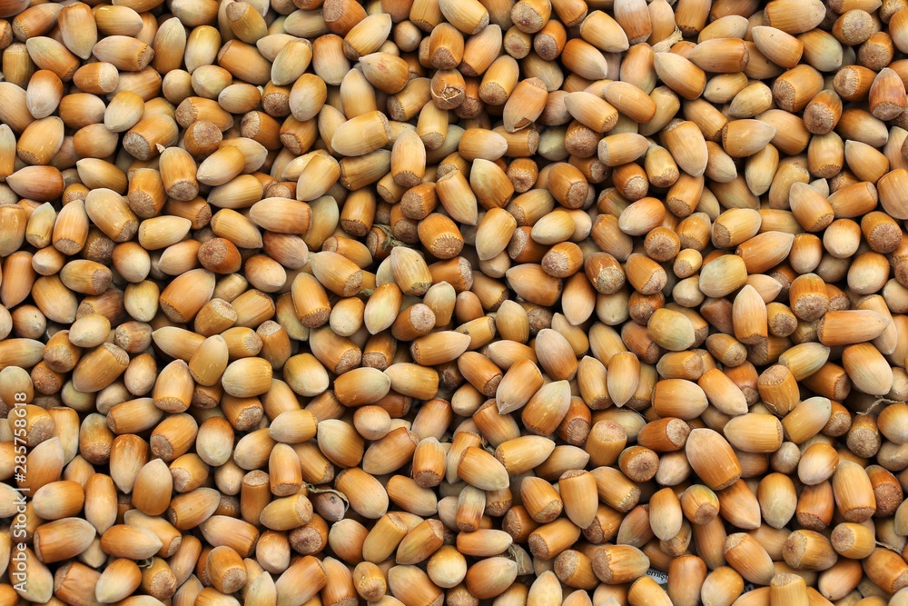 Hazelnuts consumed as dried fruits Hazelnuts consumed as dried fruits