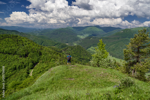 Fototapeta Naklejka Na Ścianę i Meble -  Hiker looking from hill Zniev, Slovakia