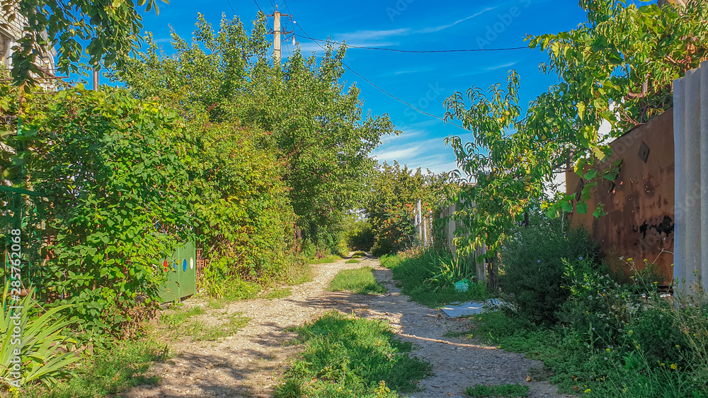 Rural Street, Country Houses between Trees and Bushes in Ukraine. Rural Street, Country Houses between Trees and Bushes in Ukraine.