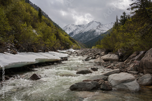 Shumak-Gol River in June. Tunkinsky loaches of the Eastern Sayan. June.