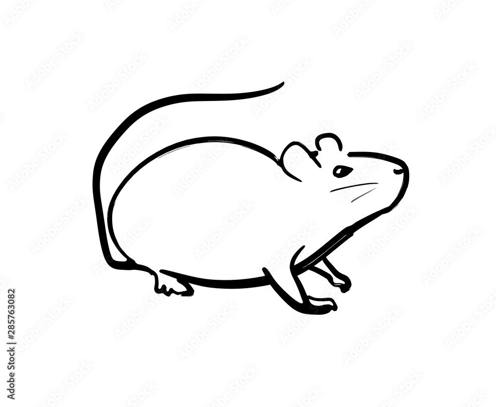 ネズミ ネズミ