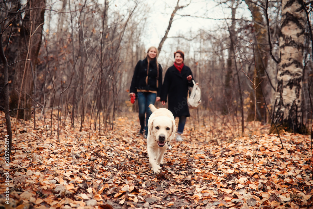 Young girl on a walk in the autumn Young girl on a walk in the autumn