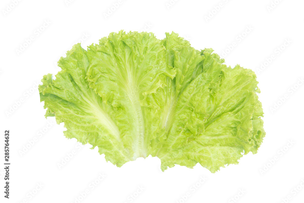 Salad leaf. Lettuce isolated on white background with clipping path. Salad leaf. Lettuce isolated on white background with clipping path.