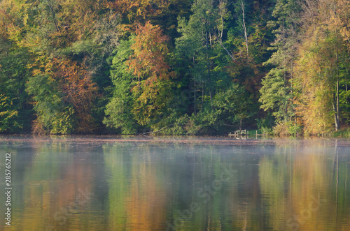 SUNNY MORNING - Quiet autumn on the lakeside