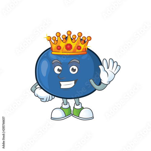 King cartoon sweet blueberry character on white background