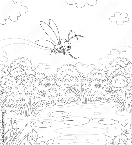 Funny mosquito flying over a water meadow and a small pond on a pretty summer day, black and white vector illustration in a cartoon style for a coloring book