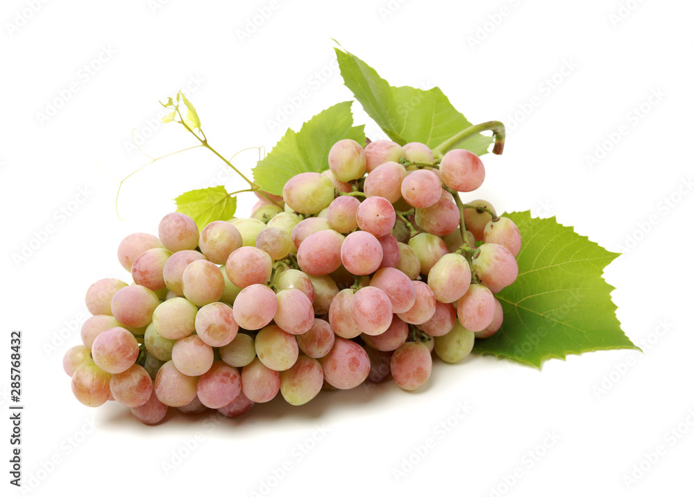 red grape on white background red grape on white background