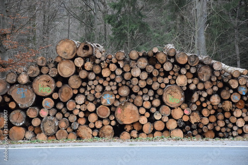 pile of wooden logs