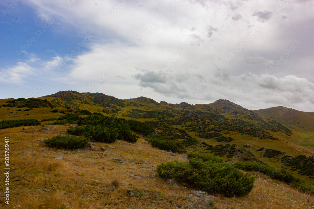 nature nature