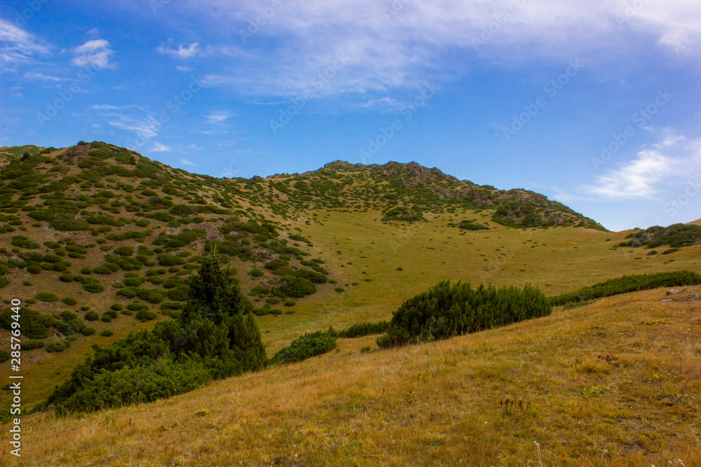 nature nature