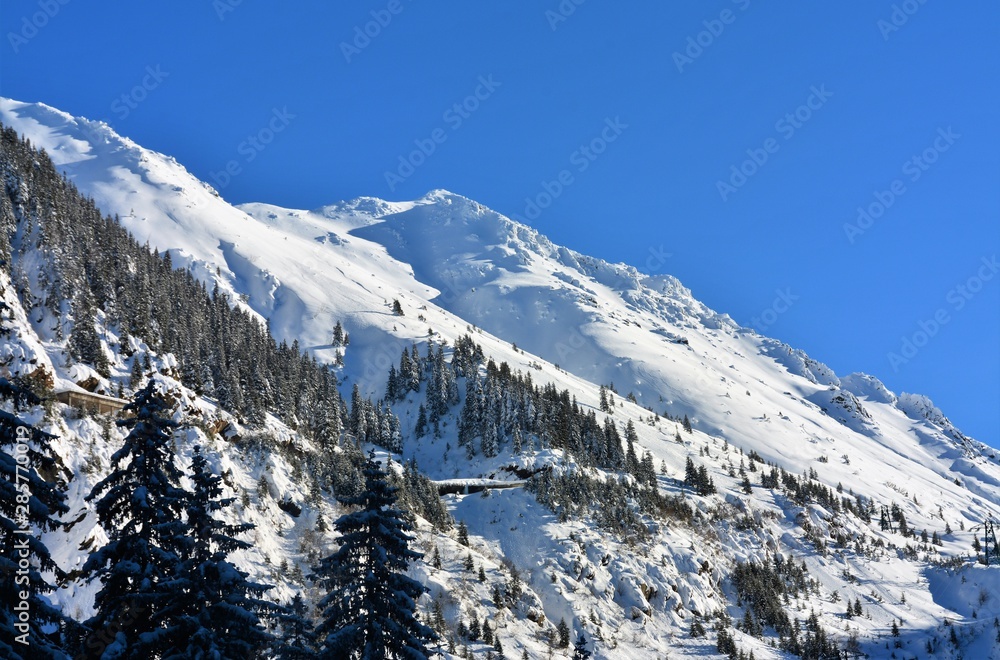 winter in the Carpathian mountains
