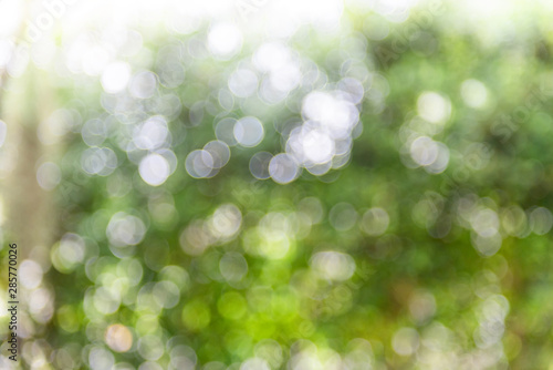 Abstract blurred nature background with bokeh,green nature texture beautiful bubble