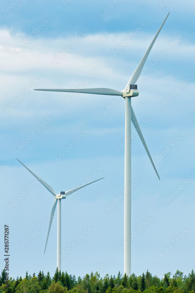 Wind turbines spinning above a pine forest and a cloudy sky