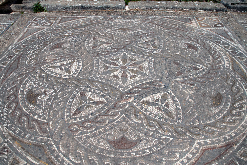 Volubilis Morocco, mosaic with flowers among roman ruins