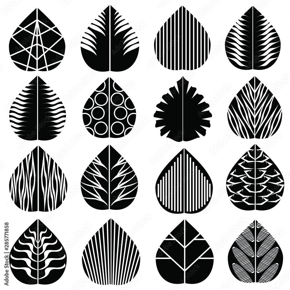 set of vector leafs set of vector leafs