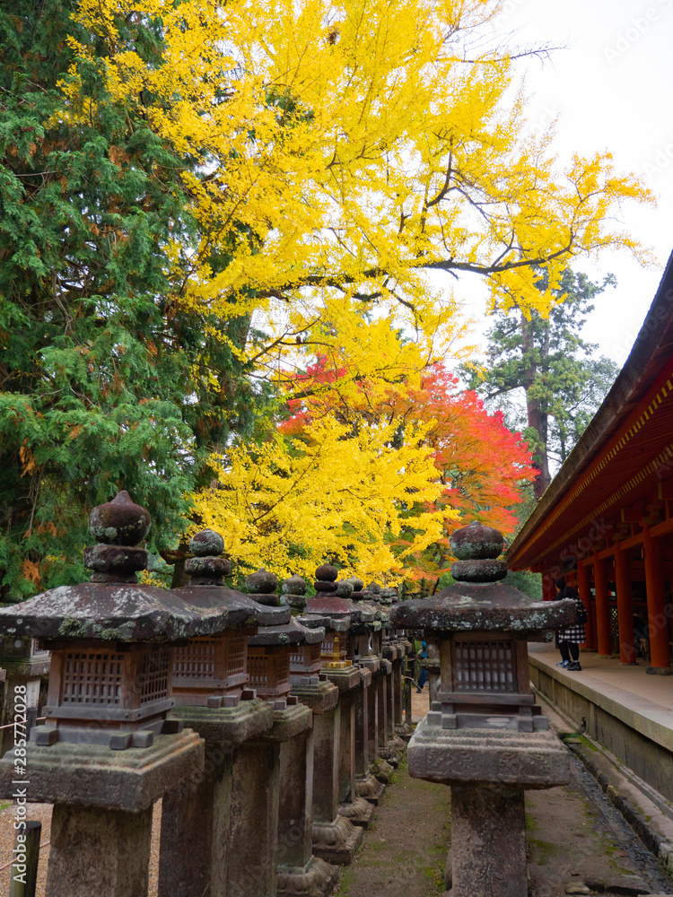 Small Stone Shrine in Garden in Nara , Japan / autumn