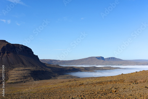 Magic foggy morning and beautiful view of lava fields  Iceland  Europe.