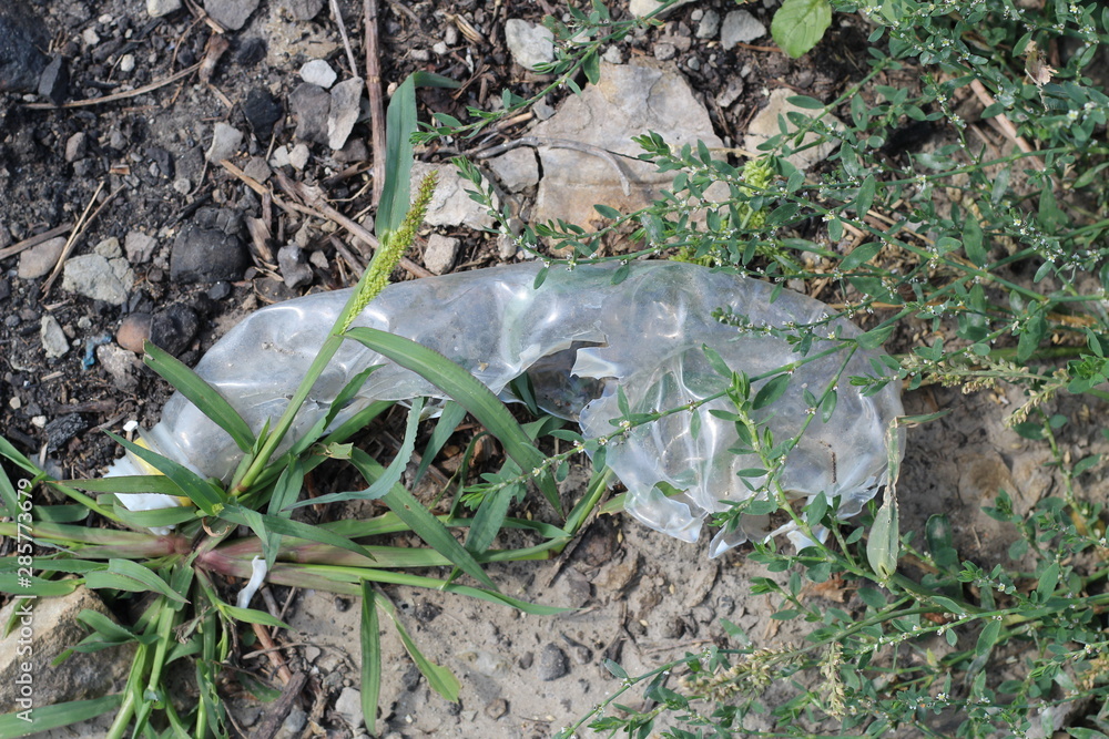 Fototapeta premium process of decomposition of plastic in nature. The concept of environmental pollution