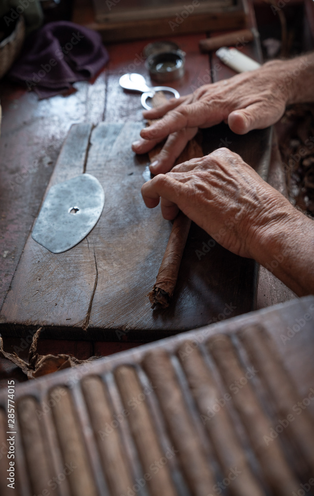 Cigar rolling or making by torcedor in cuba Cigar rolling or making by torcedor in cuba