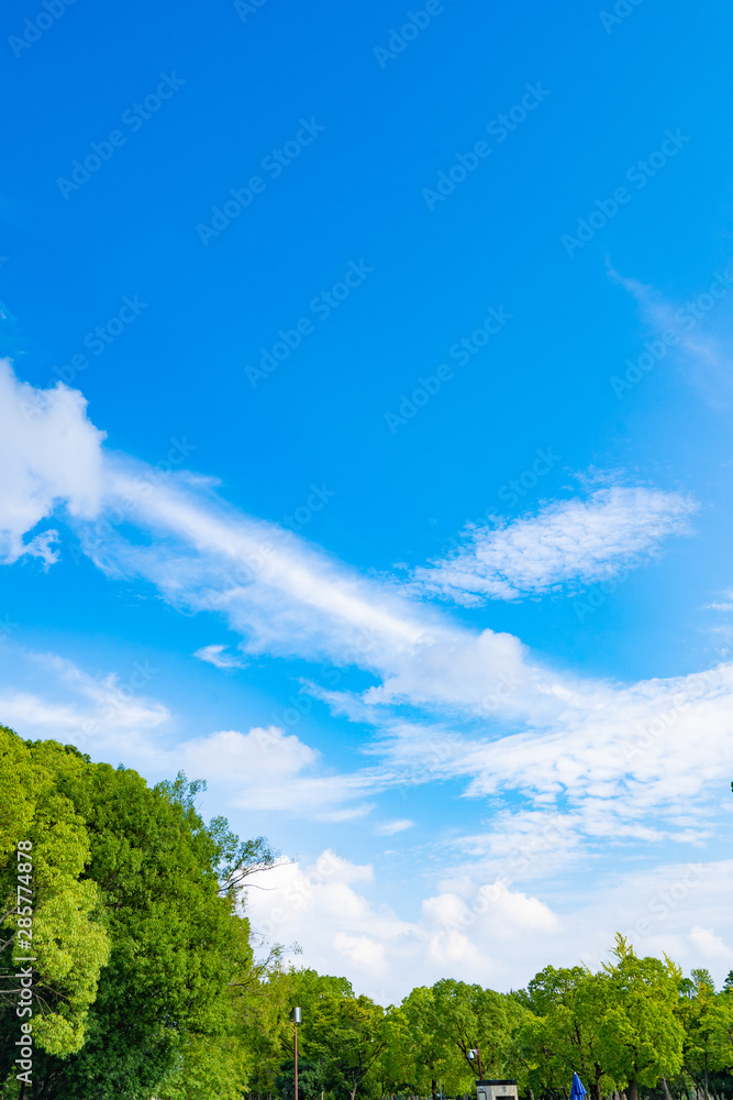 Fototapeta premium 大阪ビジネスパーク周辺風景