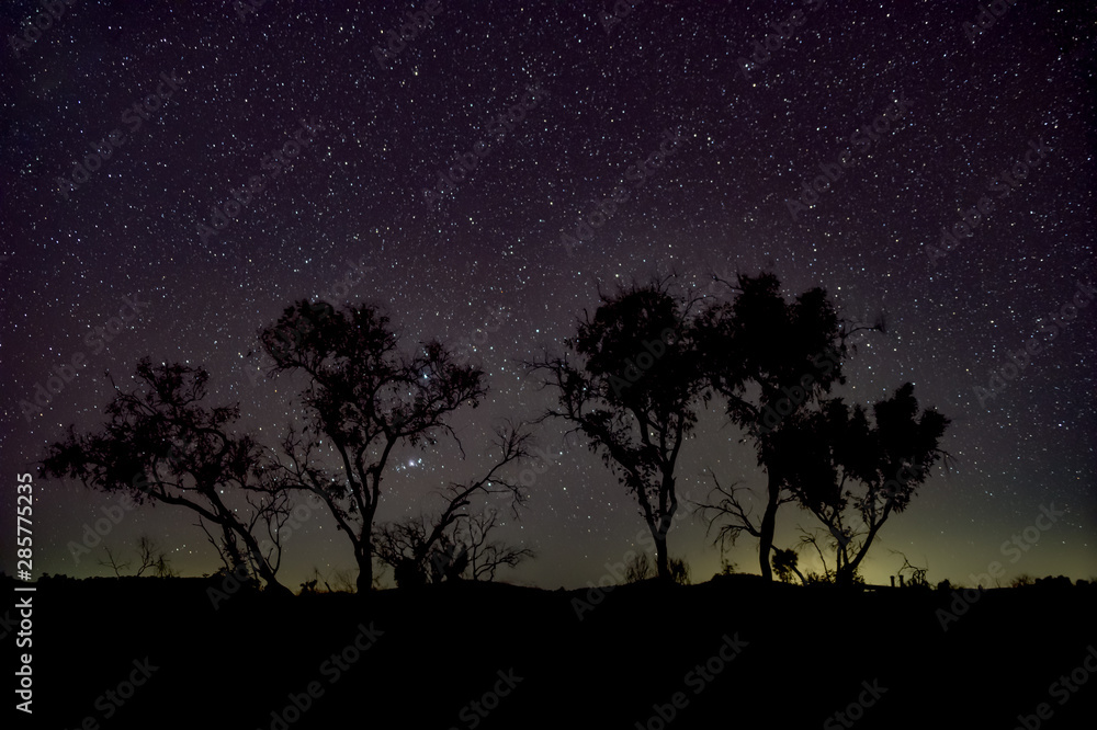 Night sky Australian outback tree silhouettes in front of dark sky close to Karijini National Park