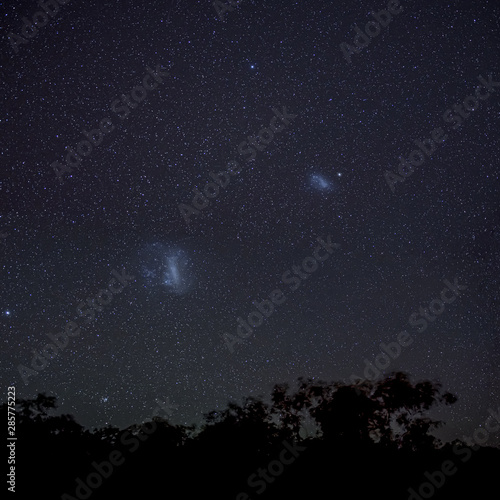 Magellanic Clouds in southern hemisphere night sky above silhouettes of trees