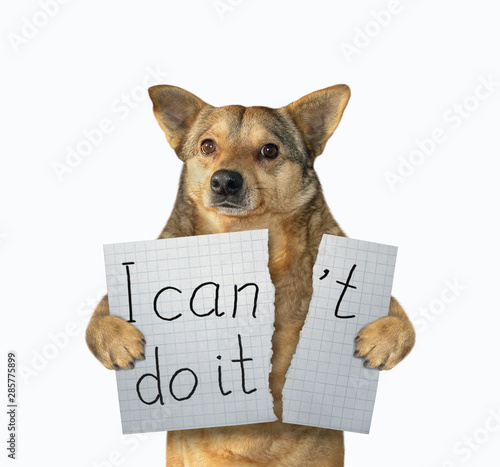 The dog is tearing a piece of paper with lettering " I can't do it ". White background. Isolated.