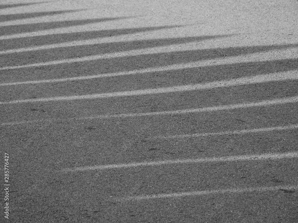 shadow of palm leaf on asphalt road texture