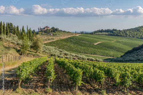 The beautiful Tuscan countryside in the famous Chianti Classico wine area between Siena and Florence, Italy photo