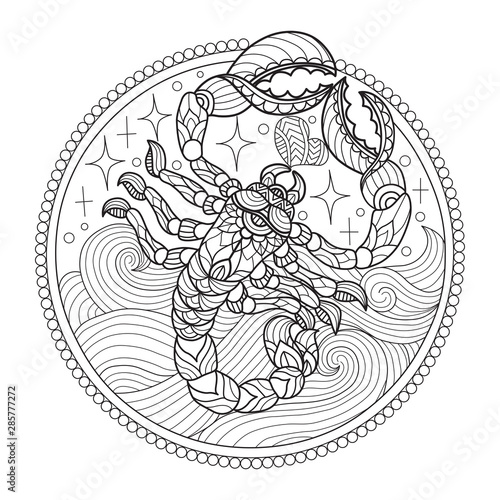 Hand drawn sketch illustration of scorpion for adult coloring book.