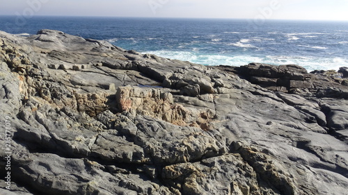 Landscape of rocky beach and nature