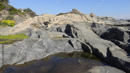 Landscape of rocky beach and nature