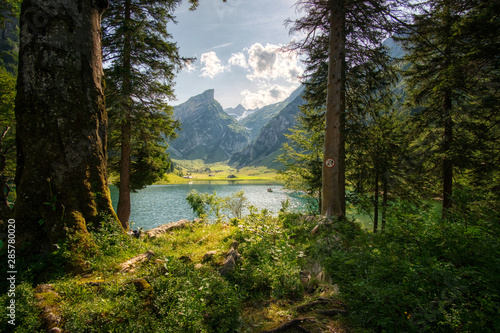 Seealpseee mit Schild das campieren verbietet