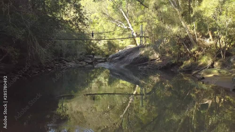 Rainforest - Susbended Bridge- Wildernis - Australia Rainforest - Susbended Bridge- Wildernis - Australia