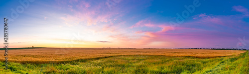 Sunrise over grain fields ripe for the harvest © Impassioned Images