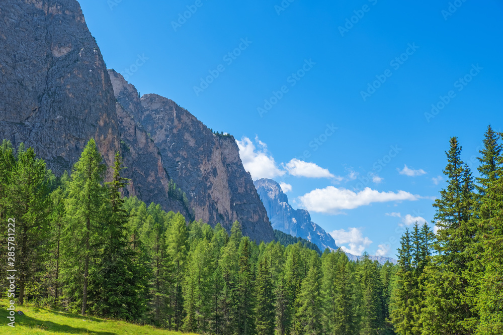 Alps valley with spruce trees at a rock wall on a mountain Alps valley with spruce trees at a rock wall on a mountain