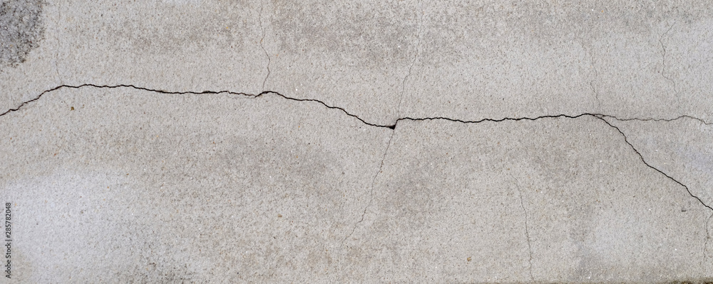 custom made wallpaper toronto digitalcrack wall texture