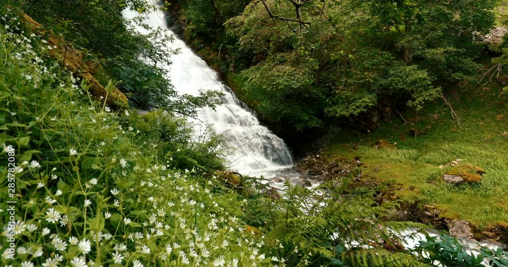 Gudvangen-Naeroyfjorden, Norway. Wild Flowers Blooming Near Waterfall Tuftofossen In Spring. Tuftefossen is waterfall in the river Tufteelvi. Norwegian Landmark And Popular Destination Gudvangen-Naeroyfjorden, Norway. Wild Flowers Blooming Near Waterfall Tuftofossen In Spring. Tuftefossen is waterfall in the river Tufteelvi. Norwegian Landmark And Popular Destination