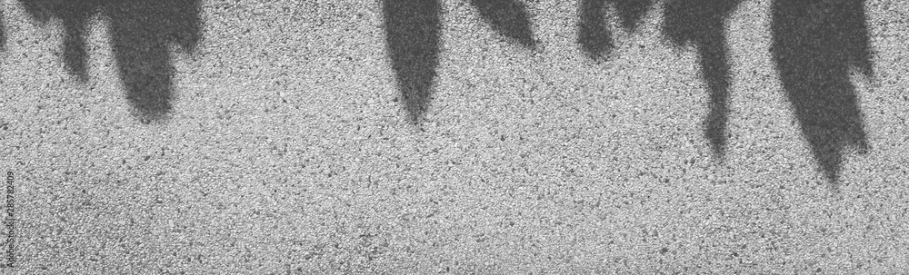 Fototapeta premium shadow of leaves on stone wall black and white style