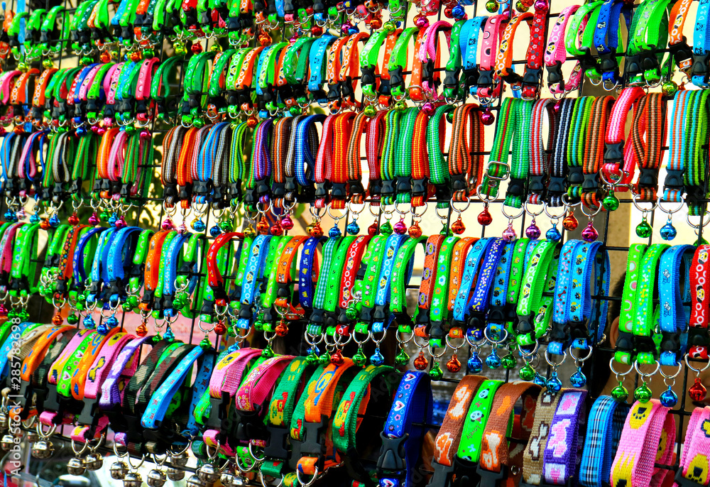 multicolor pet collars for sale at  pet shop in Thailand