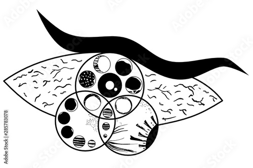 Sketch a fucking surreal drawing beautiful