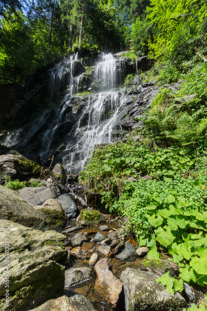 Wandern im Schwarzwald durch Wald und an Flüssen Wandern im Schwarzwald durch Wald und an Flüssen