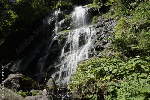 Wandern im Schwarzwald durch Wald und an Fl  ssen