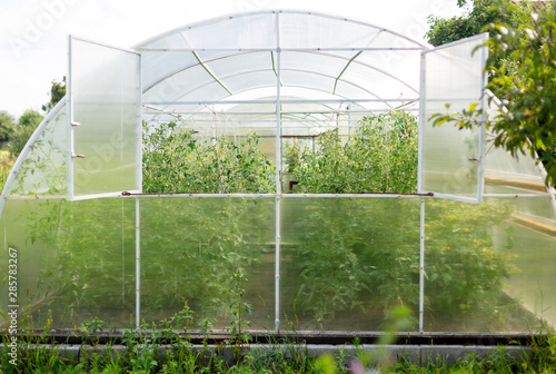 Facade of a greenhouse with transparent plastic with open windows