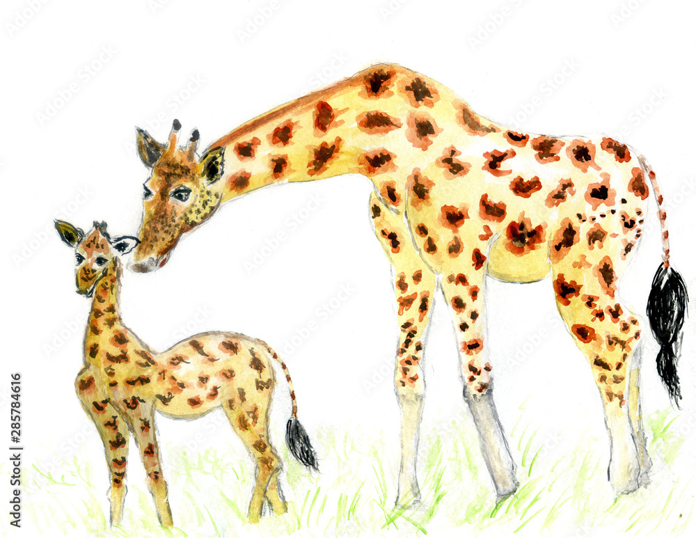 Obraz premium Cute giraffe art
