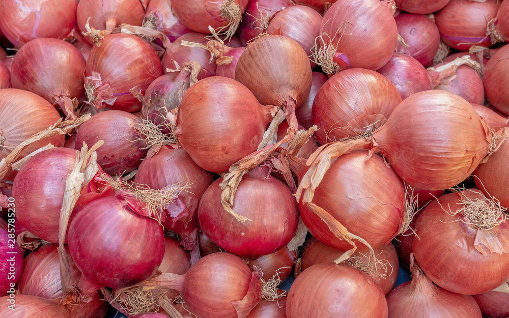 organic dry onion bulbs top view closeup, seamless pattern background